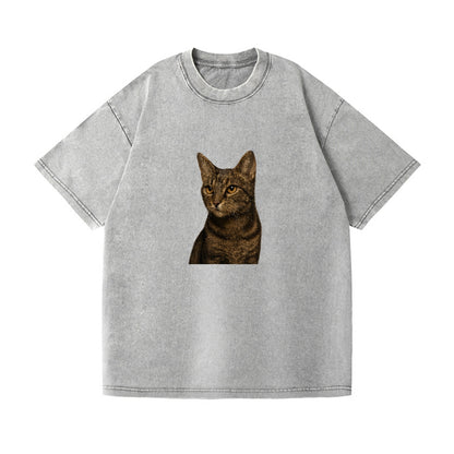 alert-cat-ready-radiant Hat