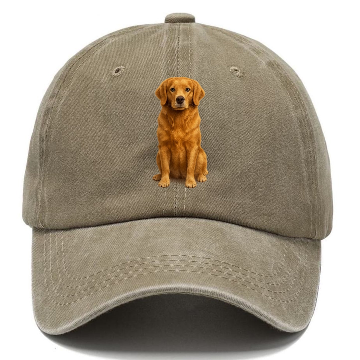 golden retriever portrait on brown background Hat