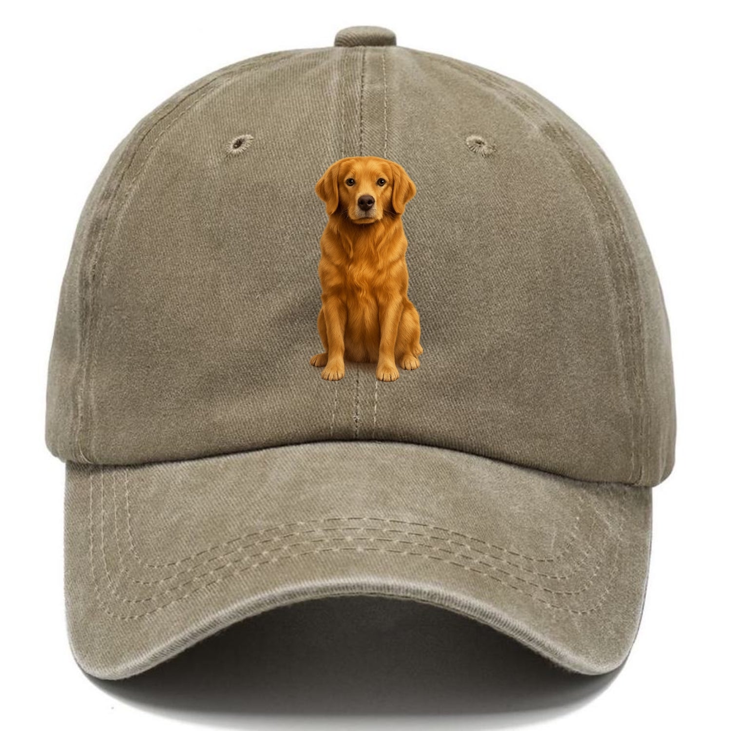 golden retriever portrait on brown background Hat