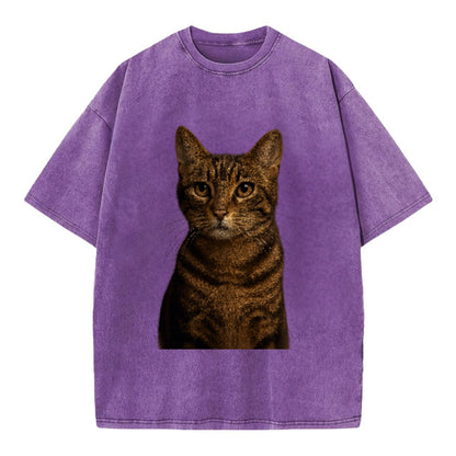 brown-tabby-playful-spirit Hat