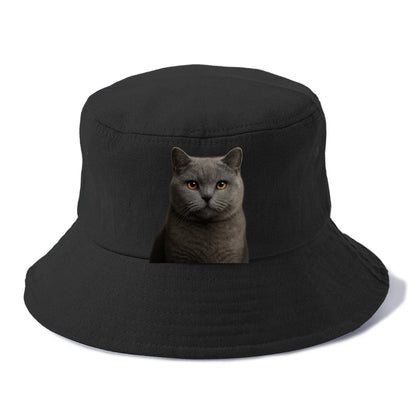 british shorthair dignified charm Hat