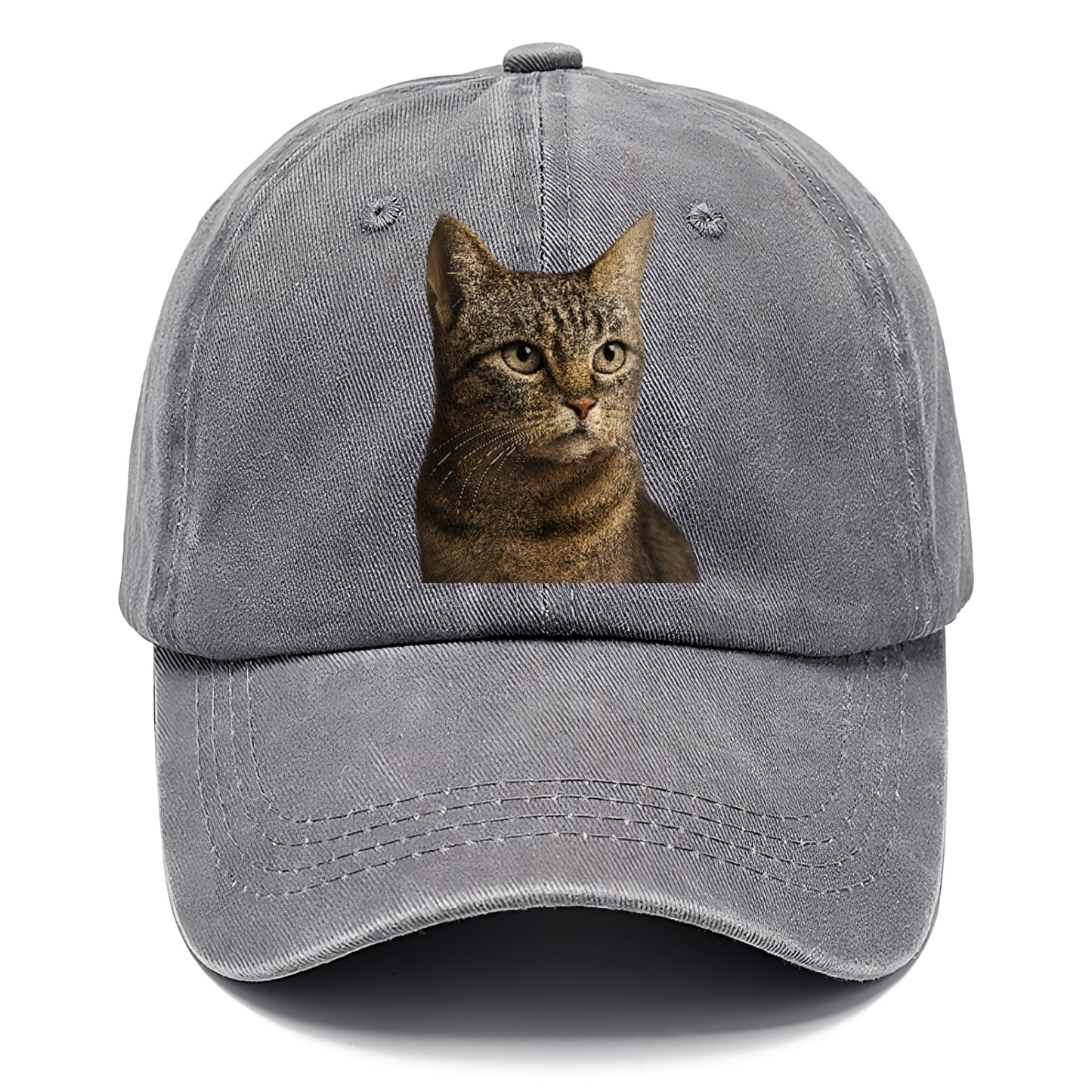 stray-cat-resilient-spirit Hat