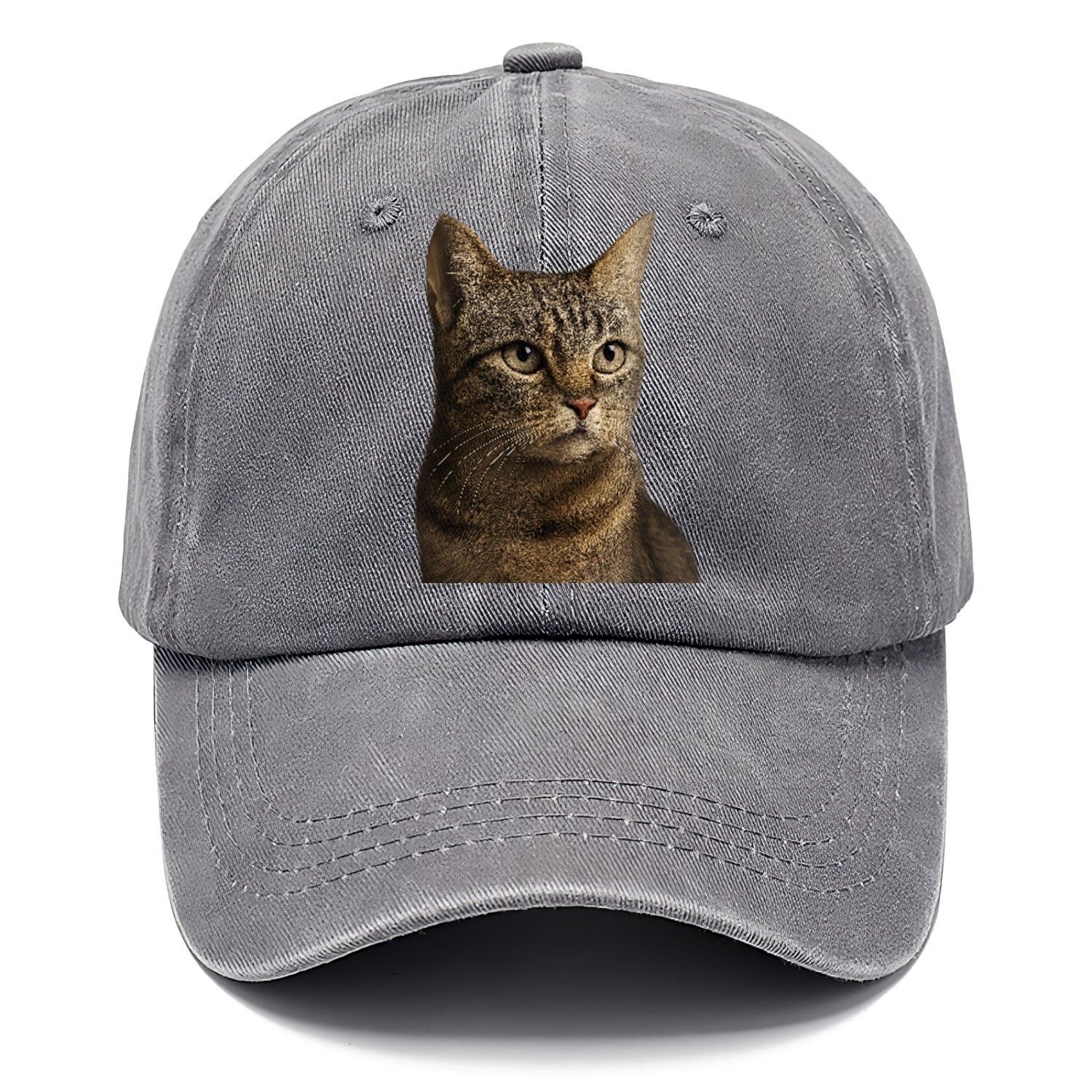 stray-cat-resilient-spirit Hat