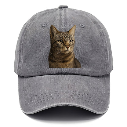 stray-cat-resilient-spirit Hat