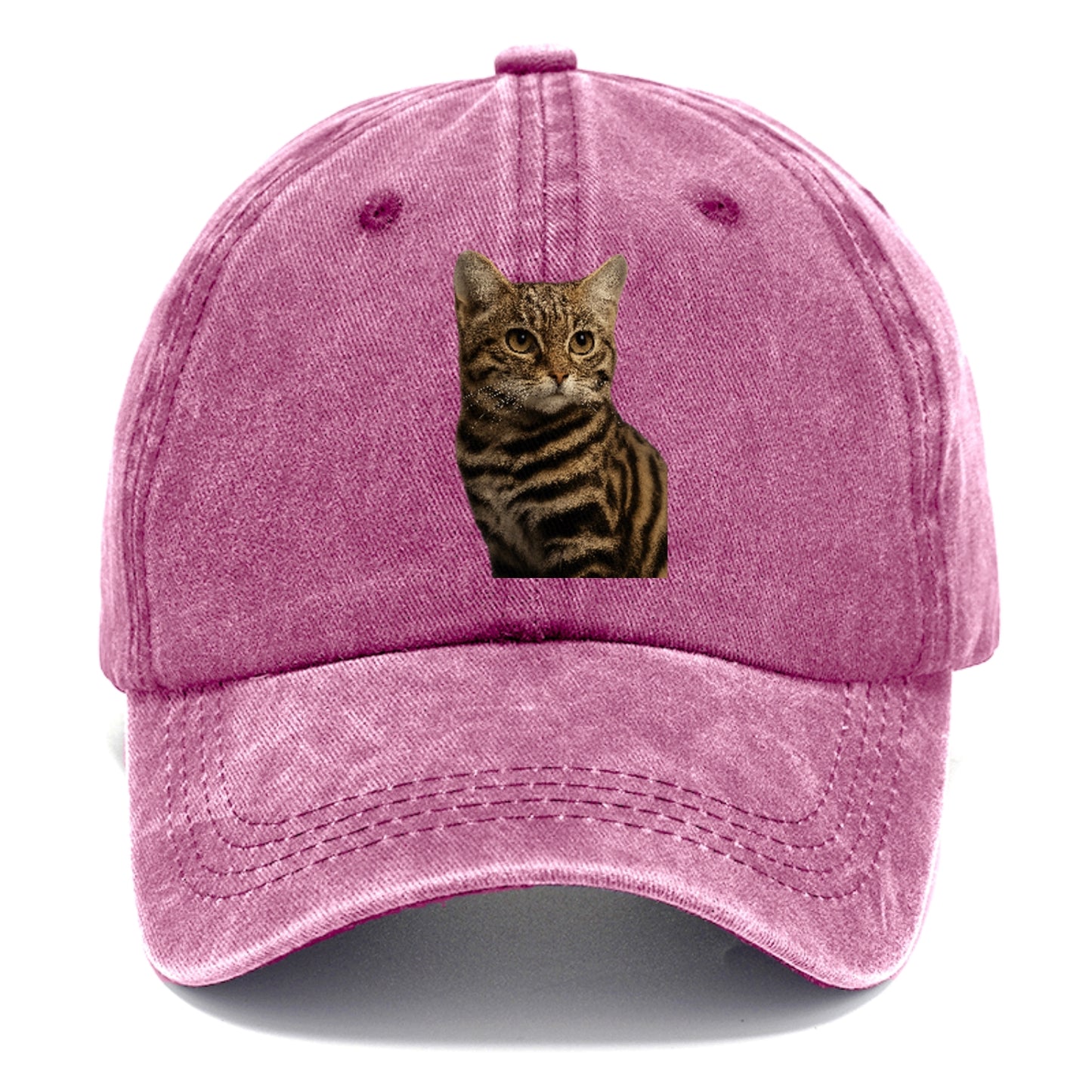 blackfooted-cat-elusive-hunter Hat