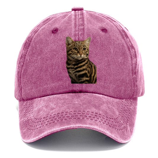 blackfooted-cat-elusive-hunter Hat