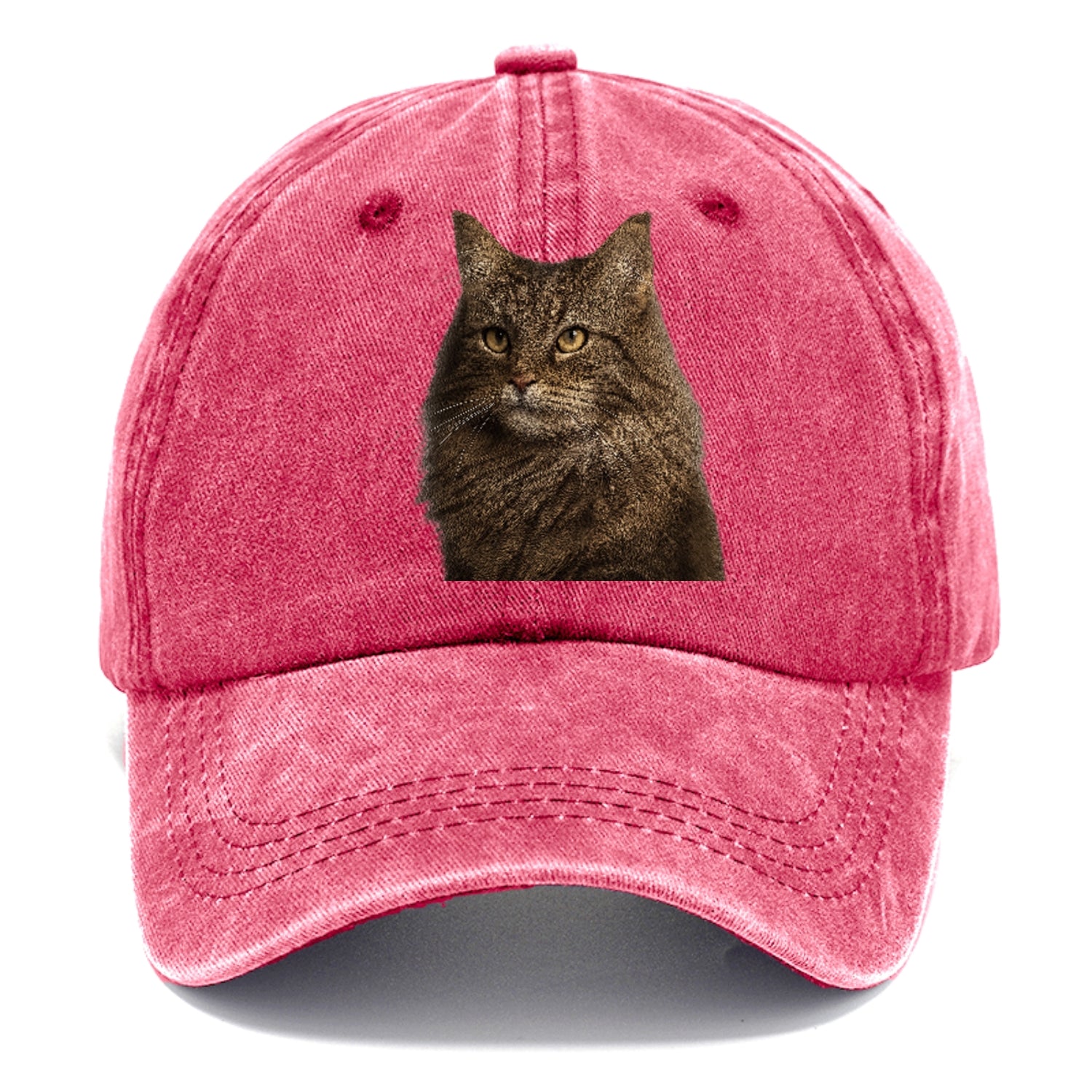 norwegian-forest-cat-wilderness-spirit Hat