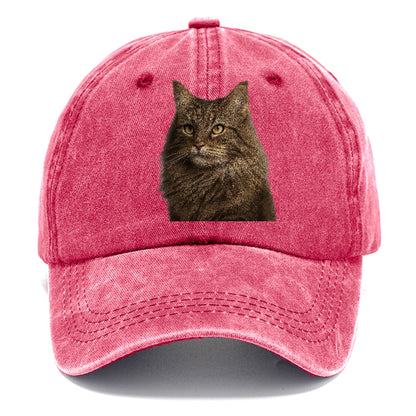 norwegian-forest-cat-wilderness-spirit Hat