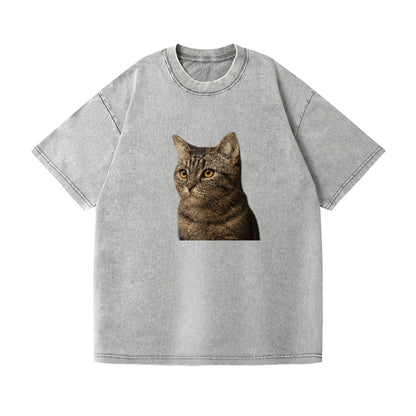 munchkin-playful-spirit Hat