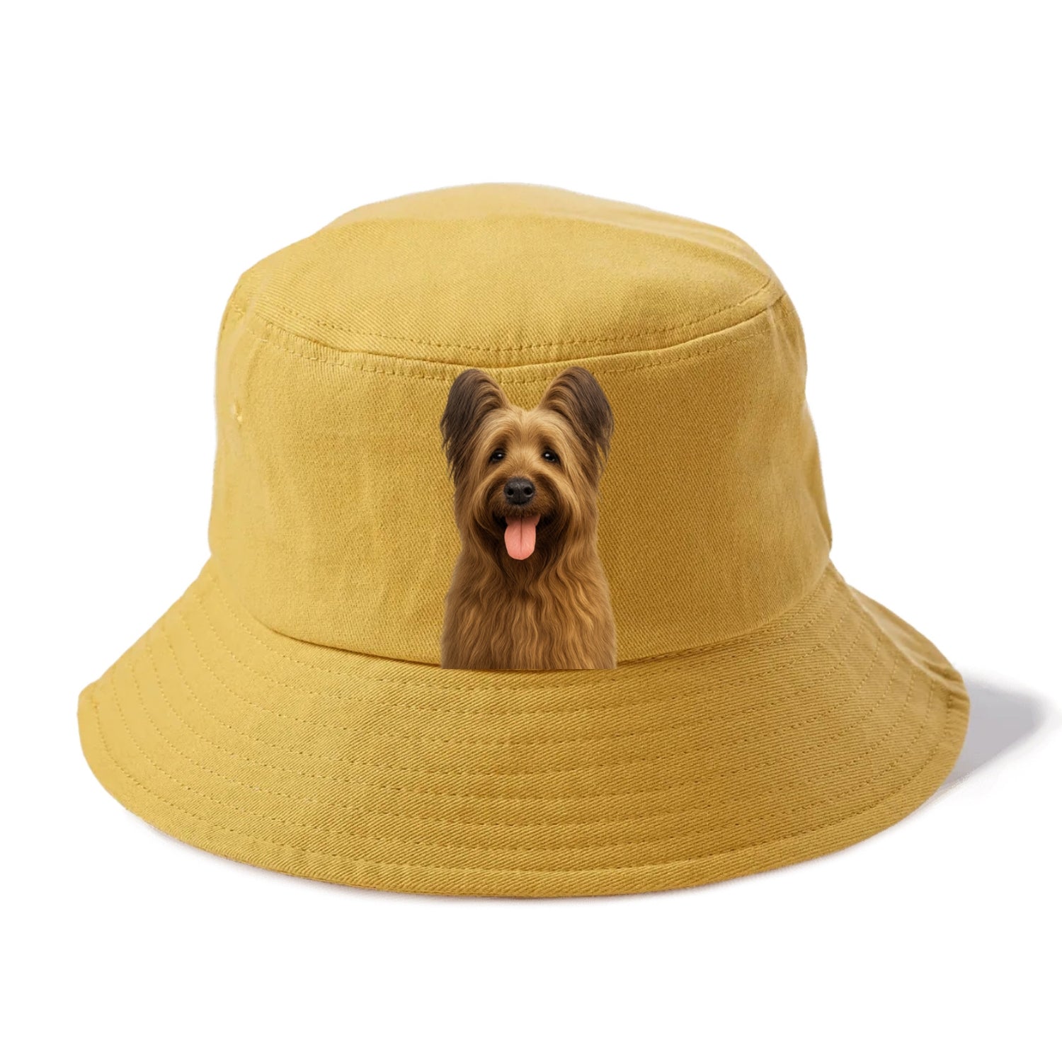 briard: majestic heart, shaggy soul Hat