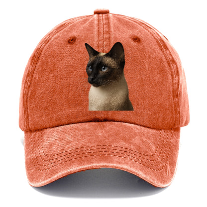 seal-point-siamese-elegance Hat
