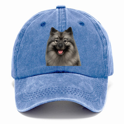 keeshond: silver fox, golden heart Hat