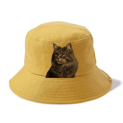 norwegian-forest-cat-wild-majesty Hat