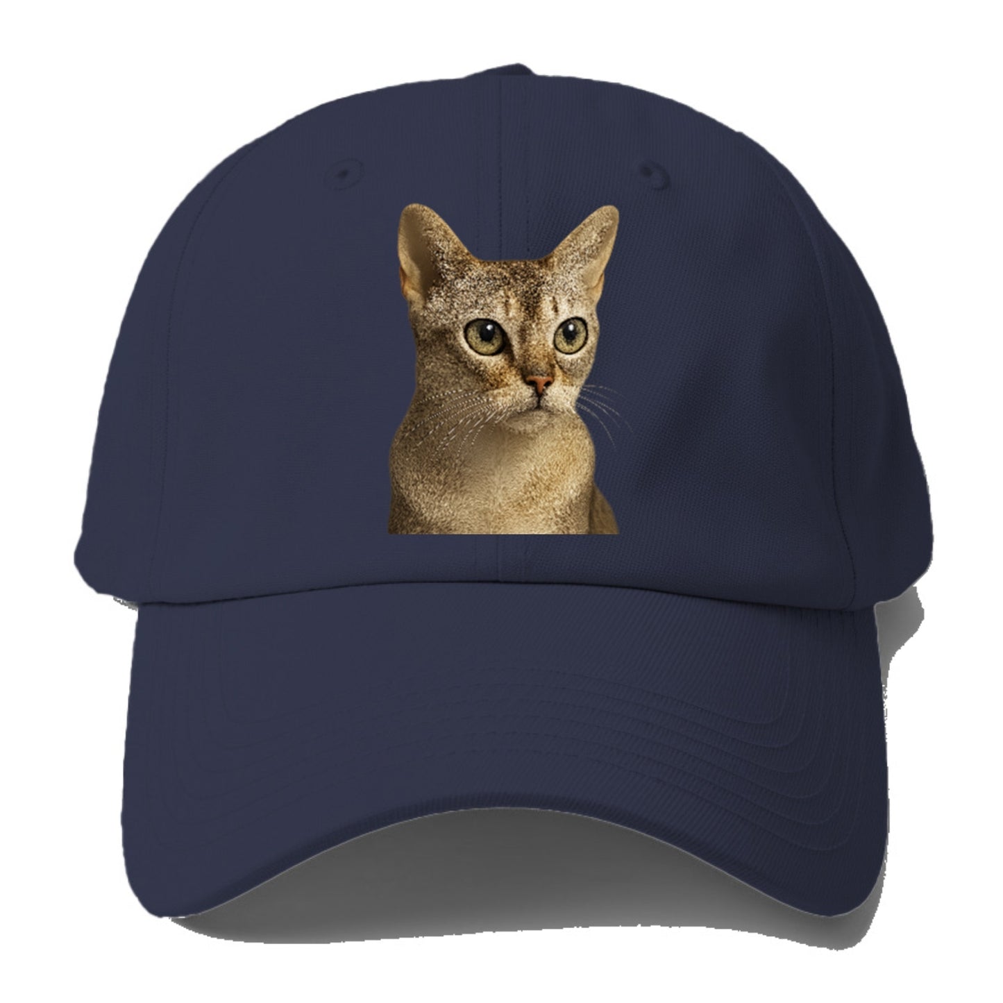 singapura-playful-spirit Hat