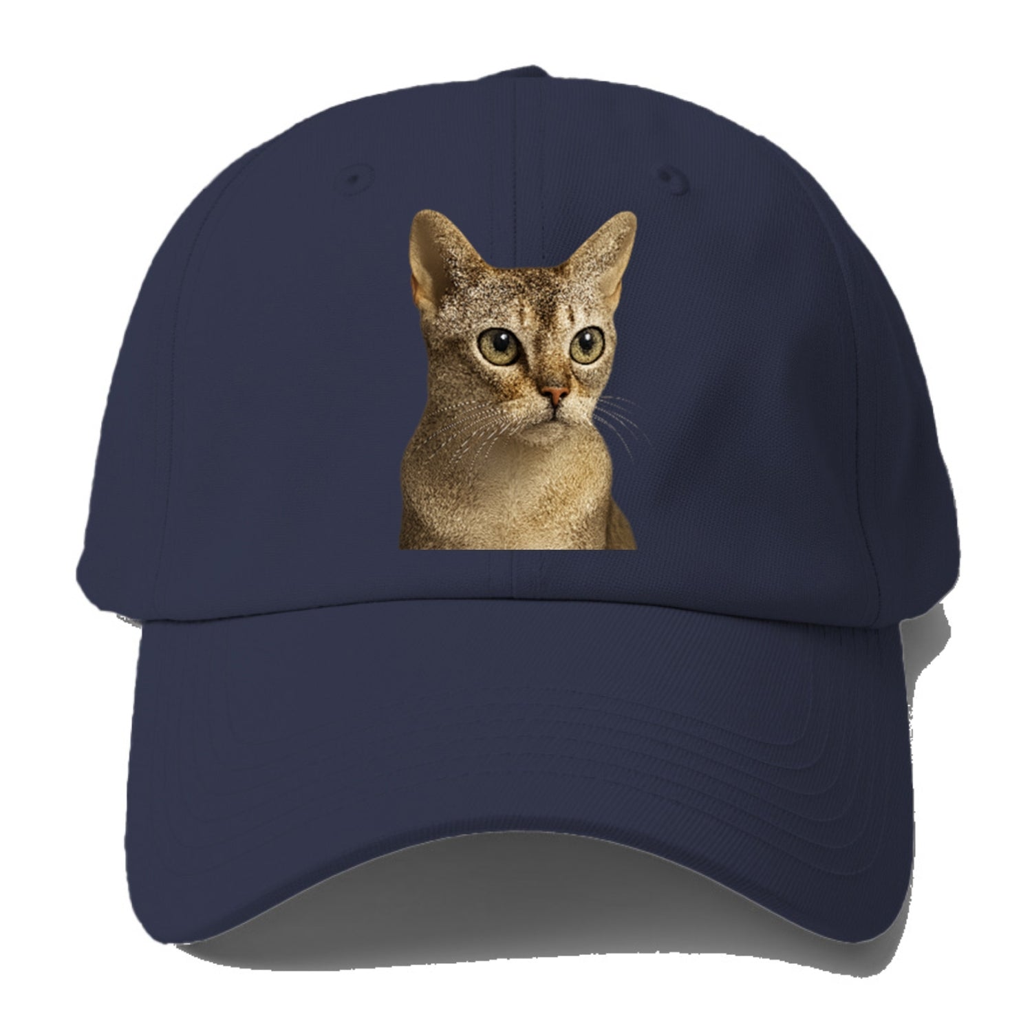 singapura-playful-spirit Hat