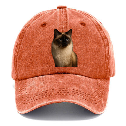 birman-gentle-charm Hat