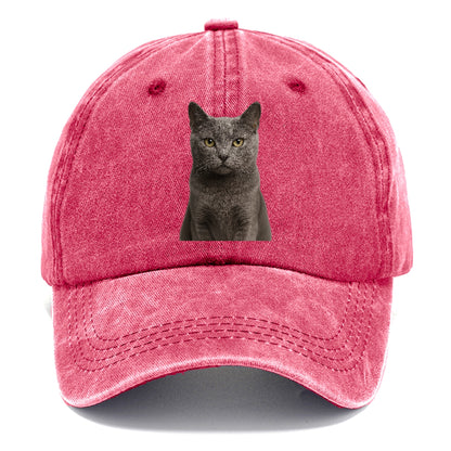 gray-cat-mysterious-charm Hat