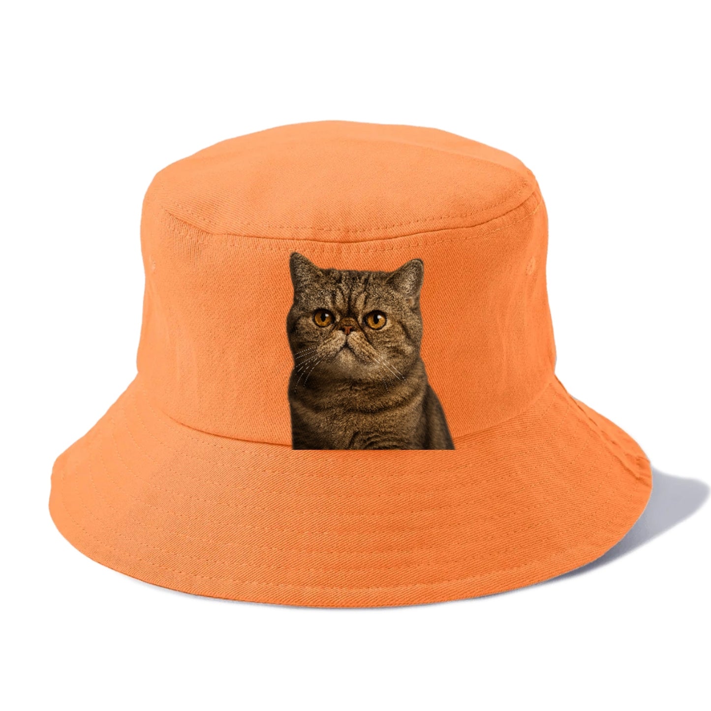 exotic-shorthair-charm Hat