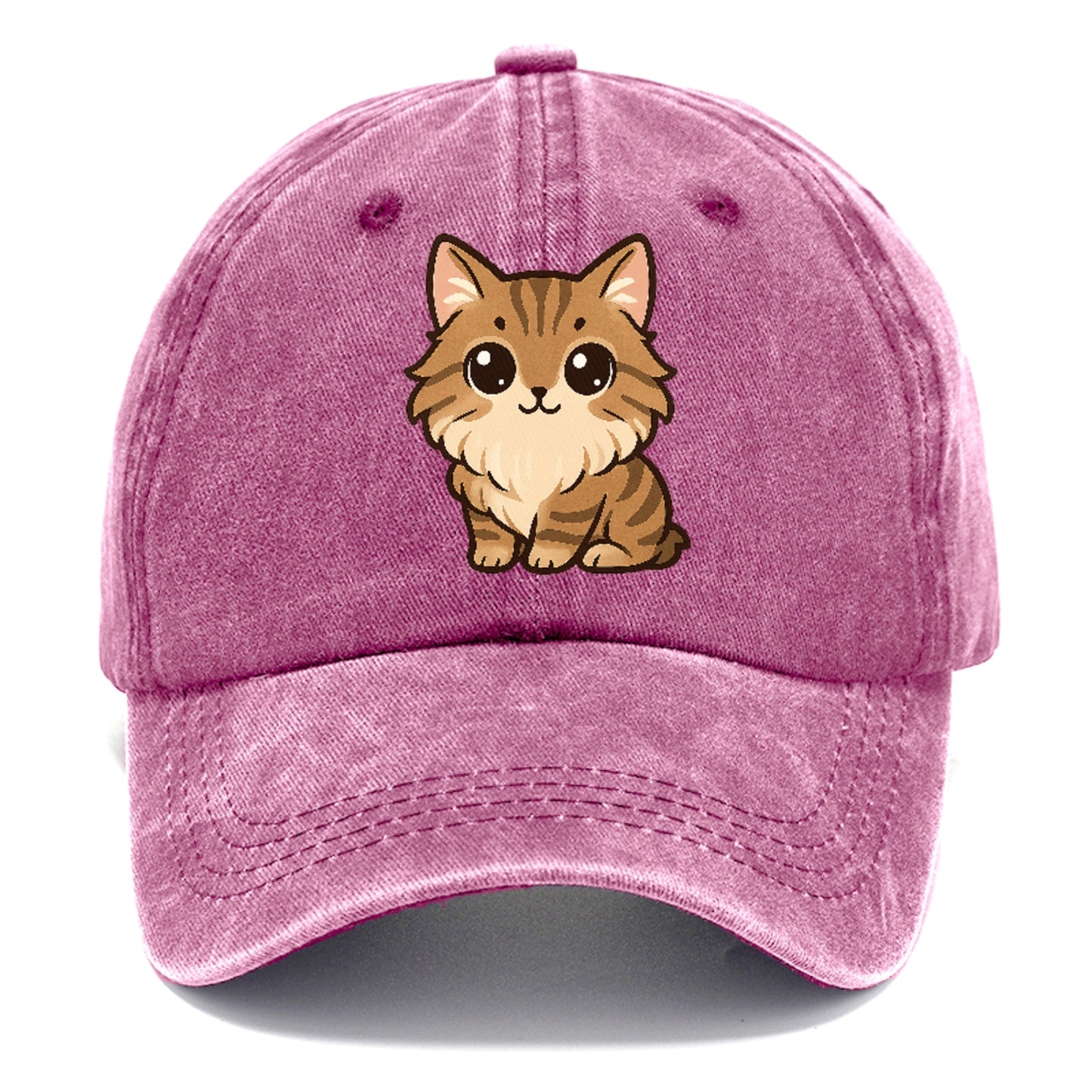 maine-coon-gentle-giant Hat