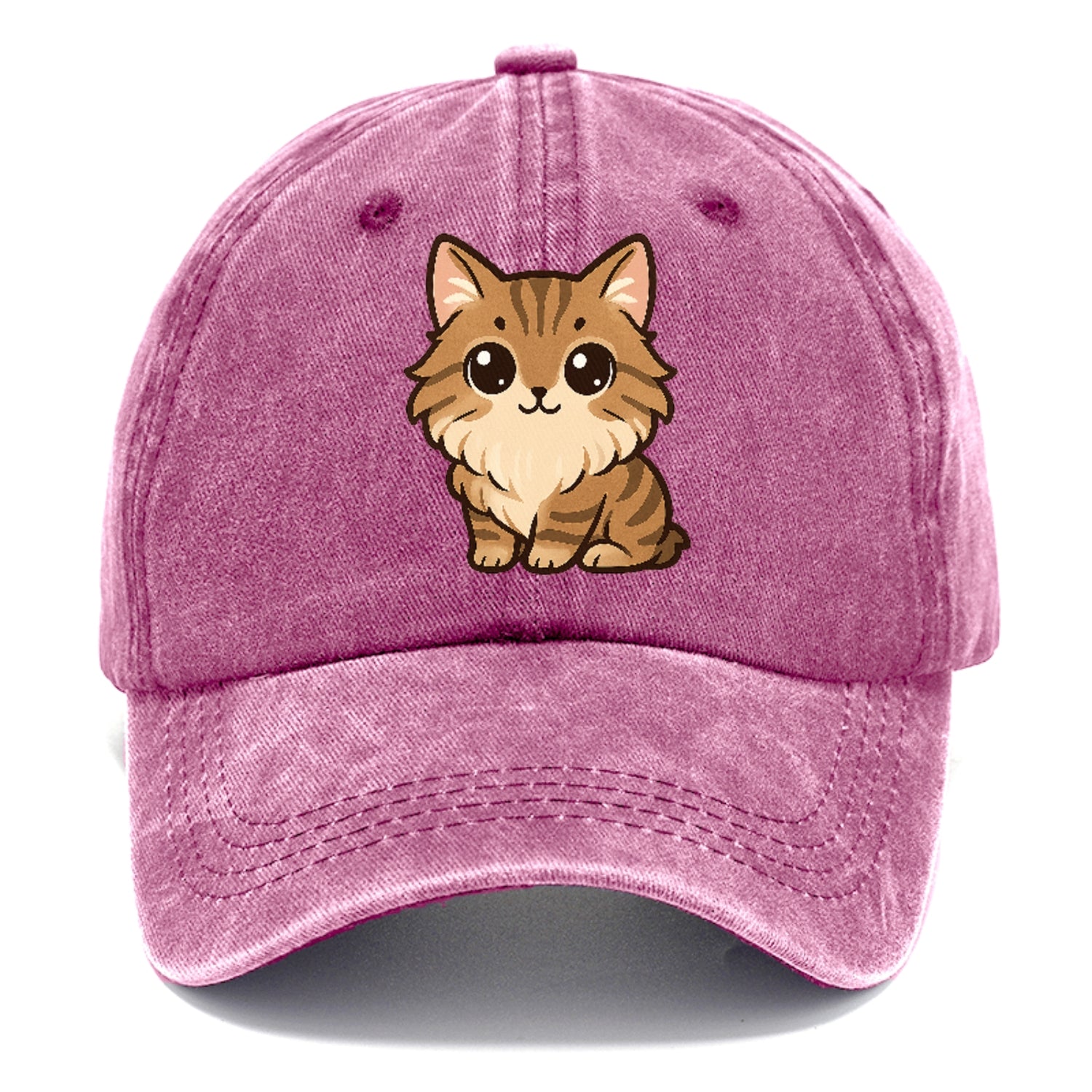 maine-coon-gentle-giant Hat