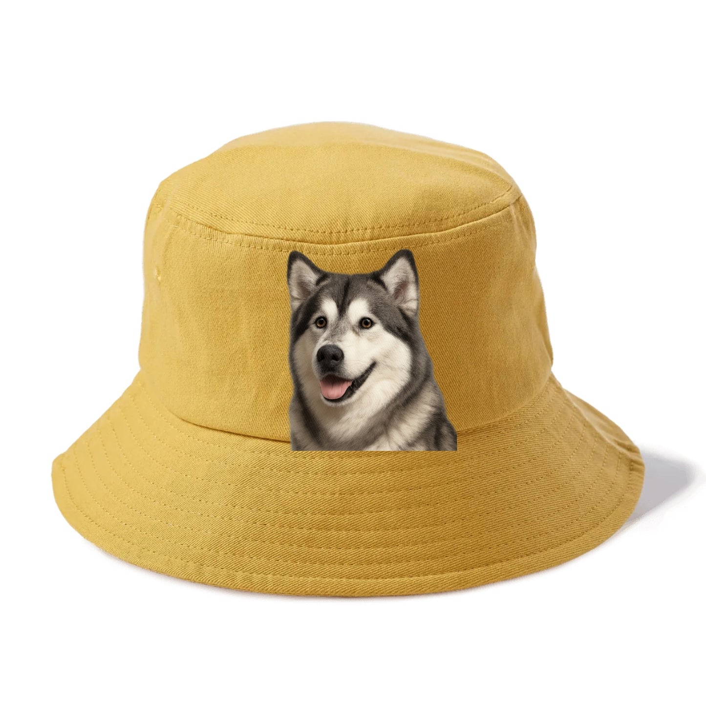 alaskan malamute portrait design Hat