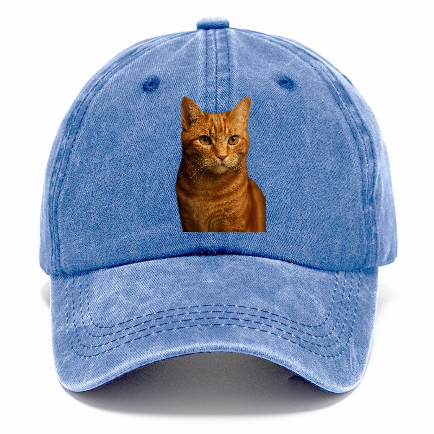 orange-tabby-playful-purr Hat