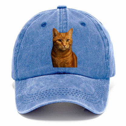 orange-tabby-playful-purr Hat