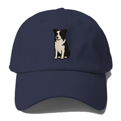 border-collie-intense-focus Hat