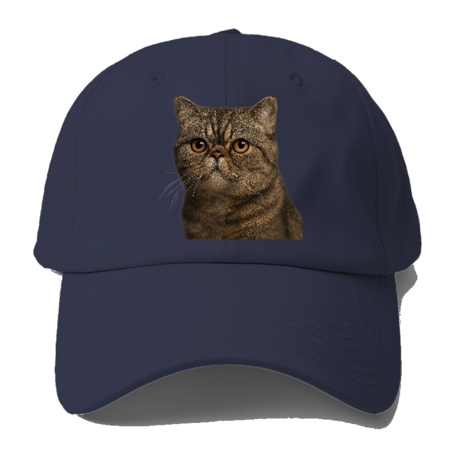 exotic-shorthair-calm-demeanor Hat