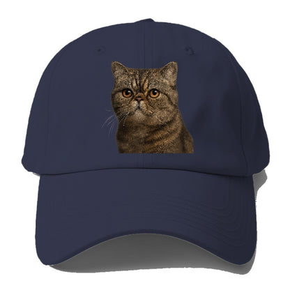 exotic-shorthair-calm-demeanor Hat