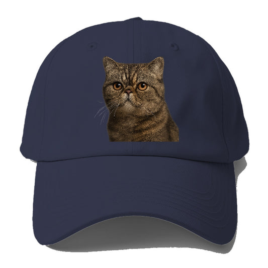 exotic-shorthair-calm-demeanor Hat