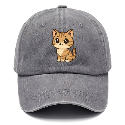 domestic-shorthair-cozy-comfort Hat