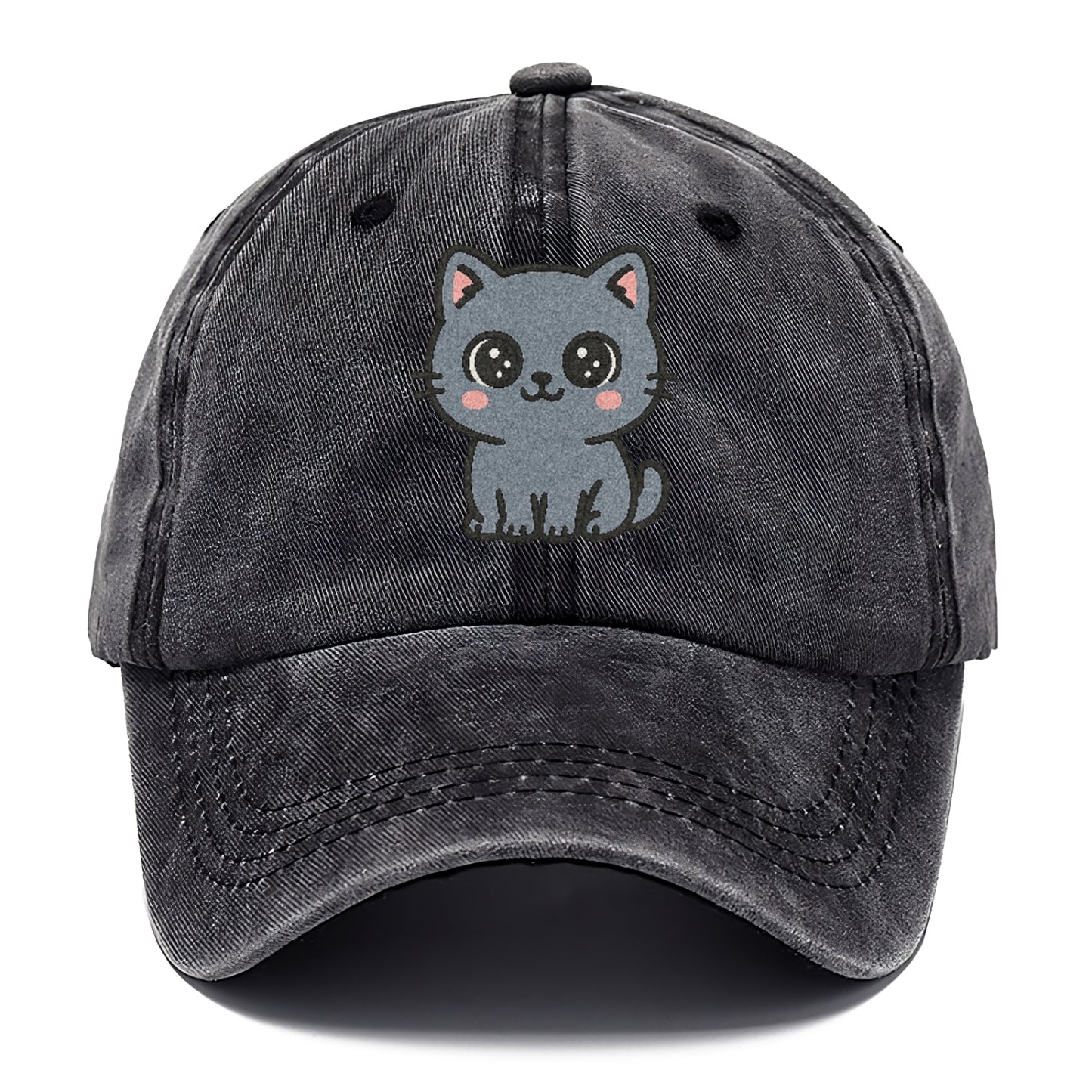 british-shorthair-calm-demeanor Hat