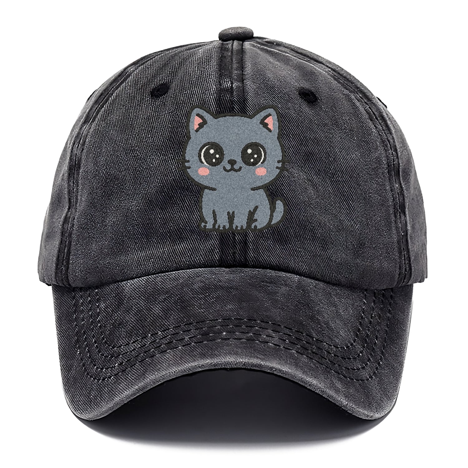 british-shorthair-calm-demeanor Hat
