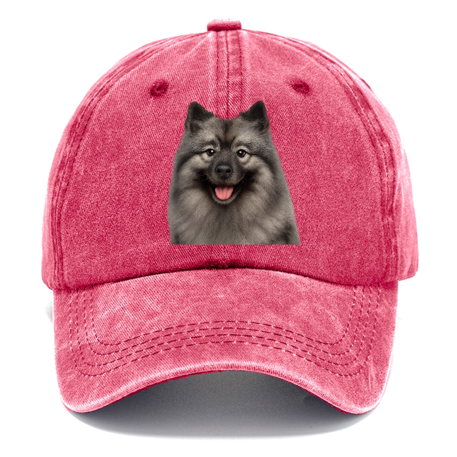 keeshond: silver fox, golden heart Hat