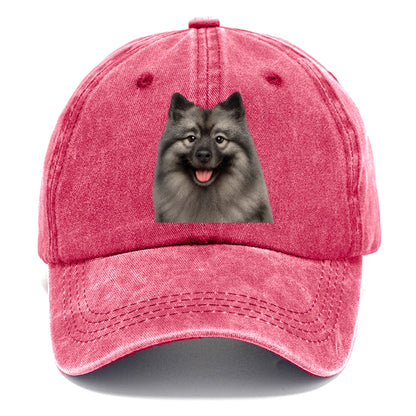 keeshond: silver fox, golden heart Hat