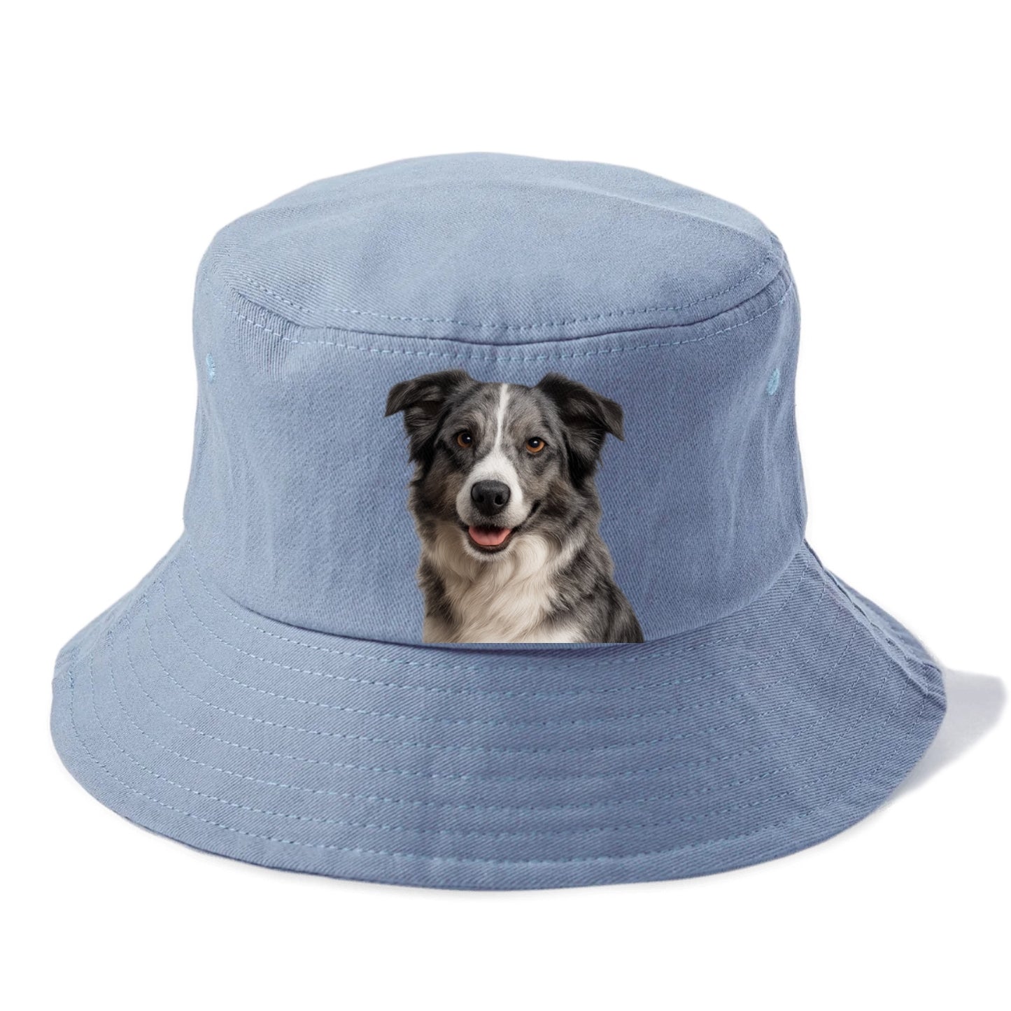 blue merle border collie agile mind Hat