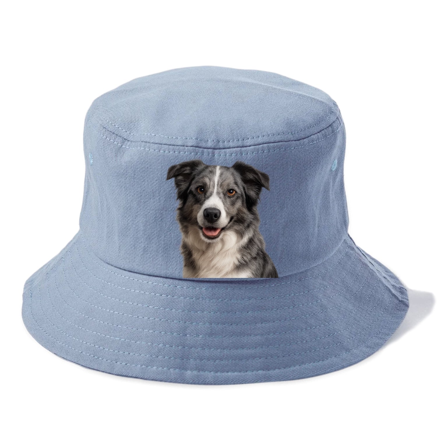 blue merle border collie agile mind Hat
