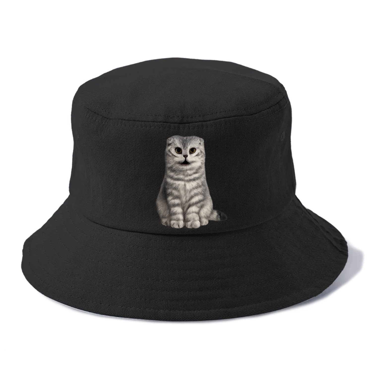 surprised striped cat whimsical portrait Hat