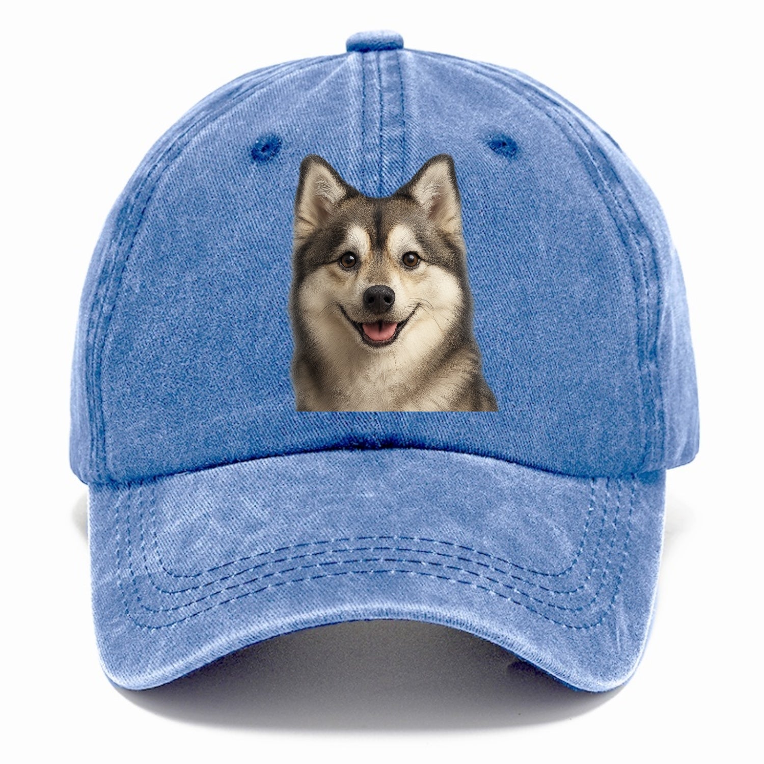 pomsky portrait design Hat
