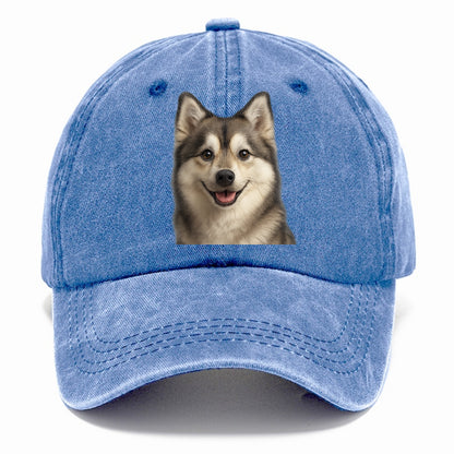 pomsky portrait design Hat