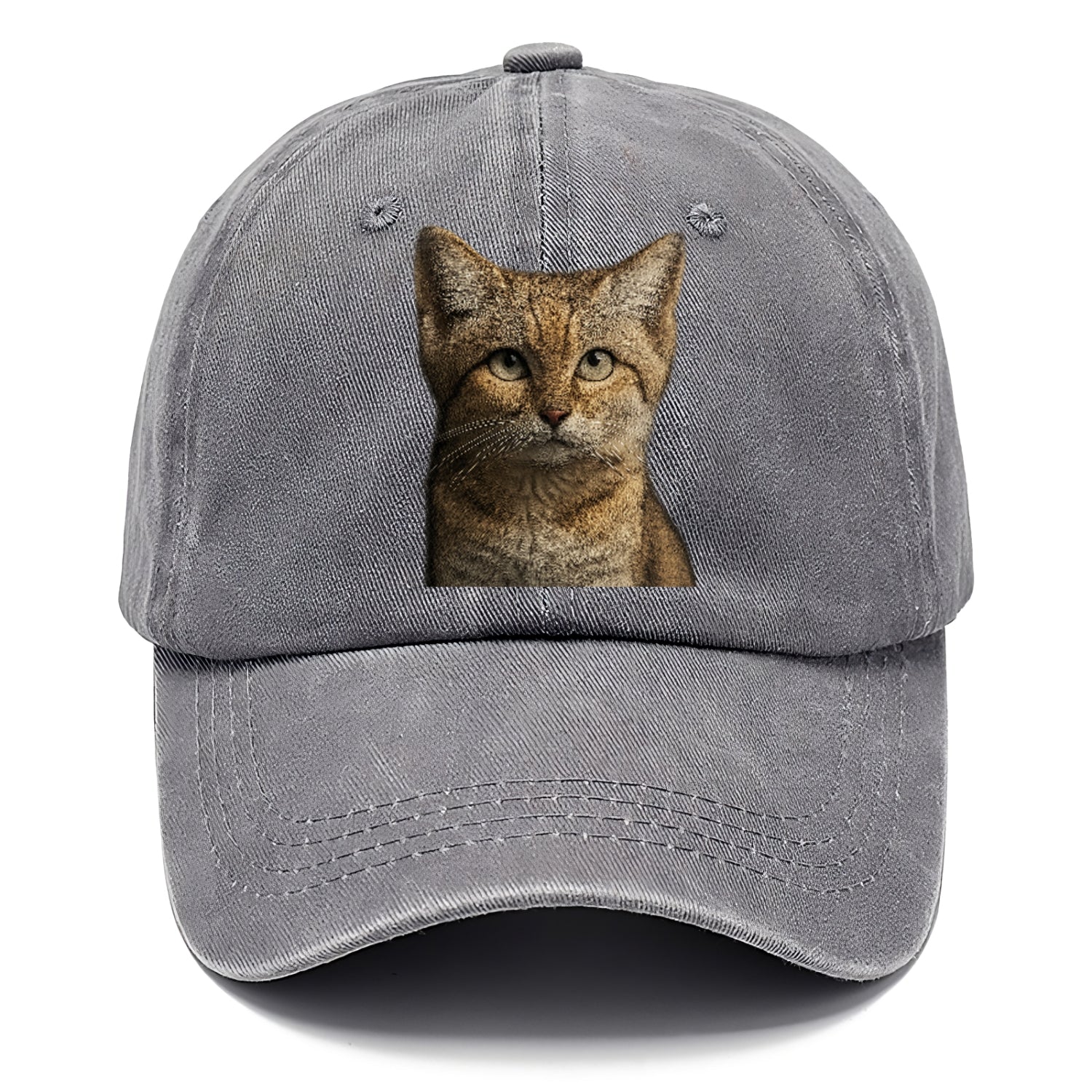 sand-cat-desert-spirit Hat