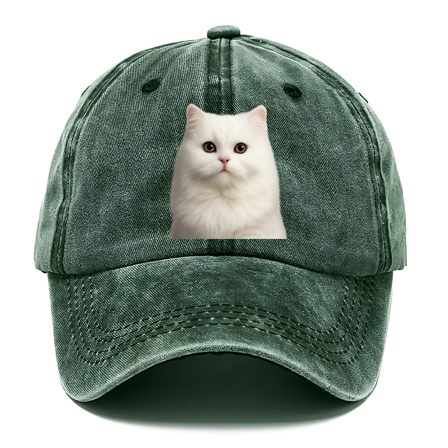 persian cat royal elegance Hat