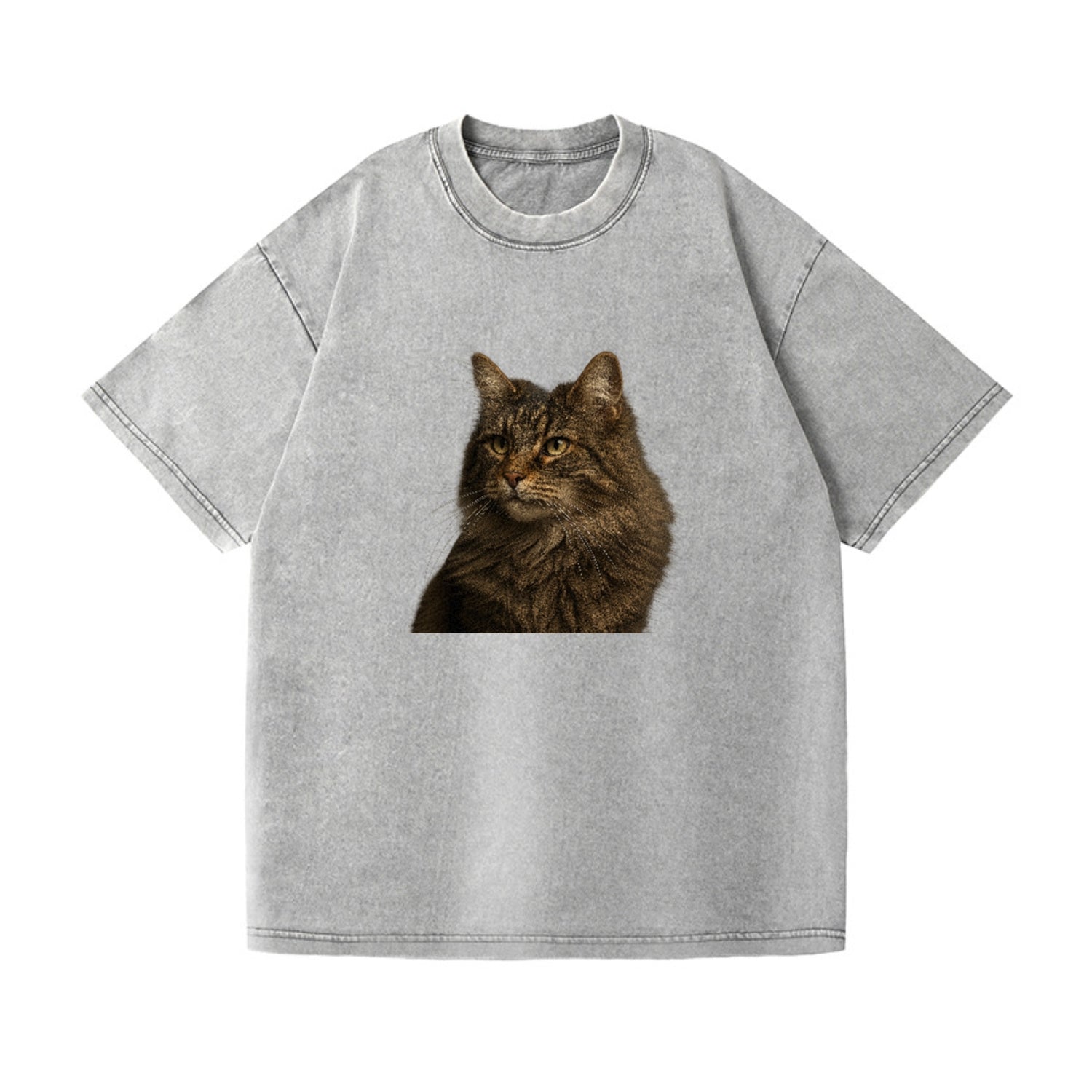 norwegian-forest-cat-wild-majesty Hat