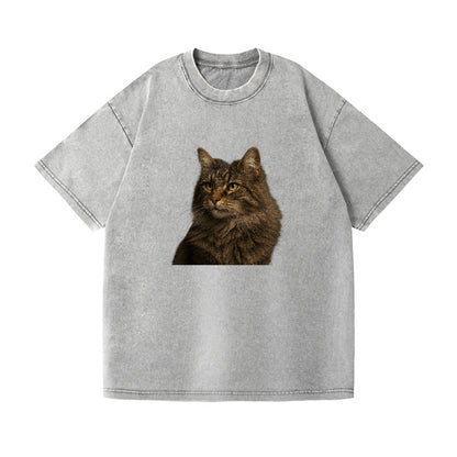 norwegian-forest-cat-wild-majesty Hat