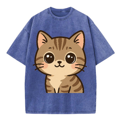 domestic-shorthair-playful-spirit Hat