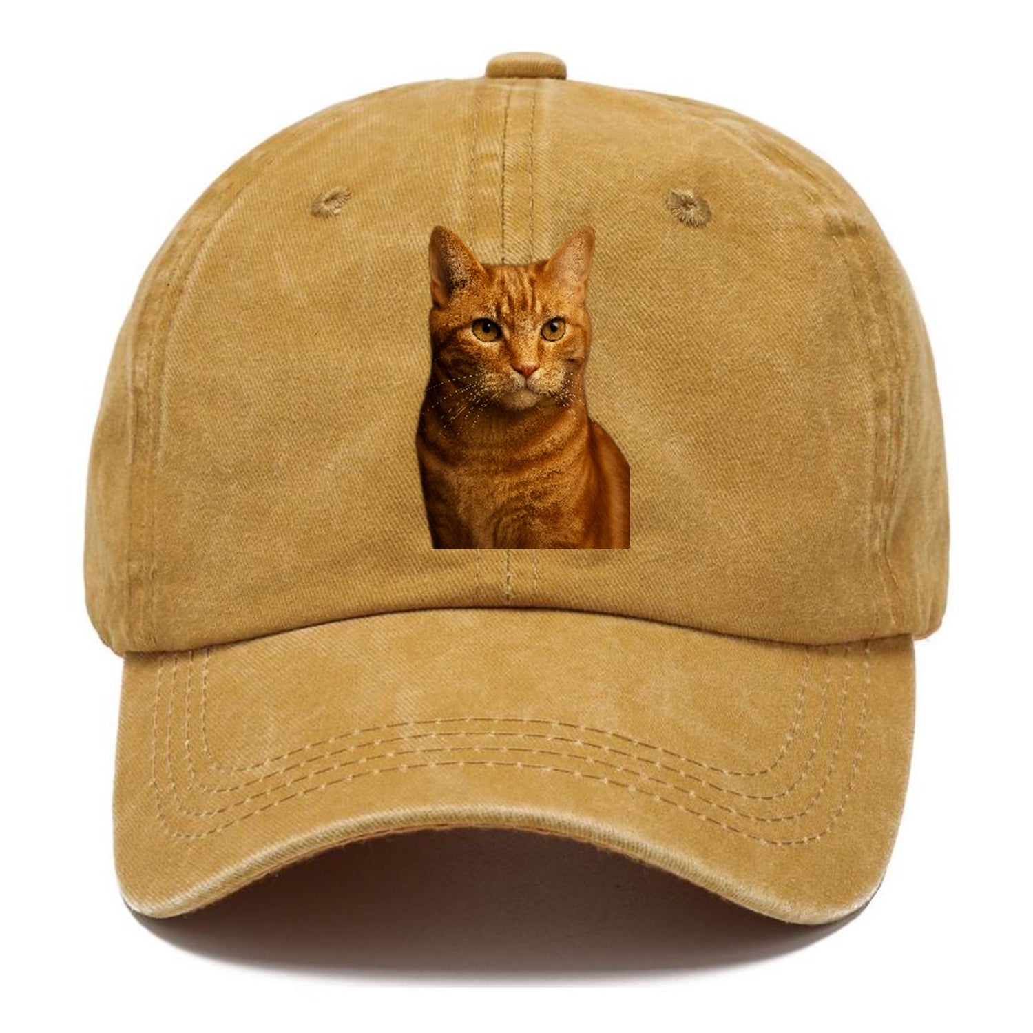 orange-tabby-playful-purr Hat