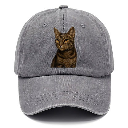alert-cat-ready-radiant Hat