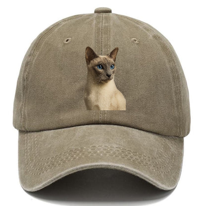 lilac-point-siamese-elegant-mystique Hat