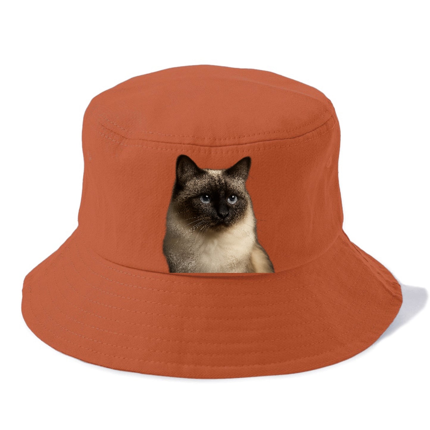 birman-cat-serene-elegance Hat